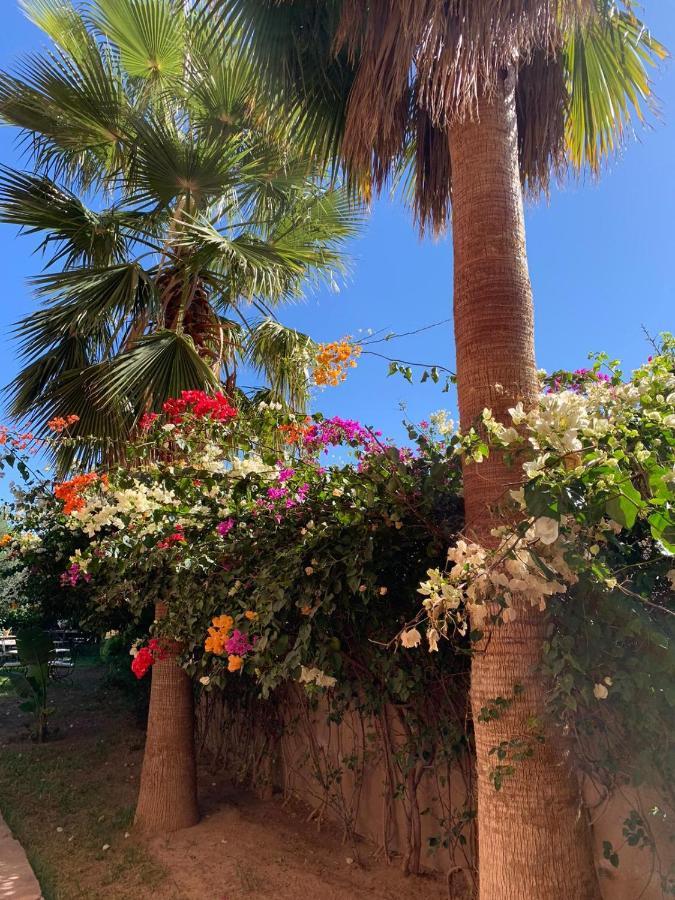 Les Terrasses Du Lac Marrakech Lalla Takerkoust Kültér fotó