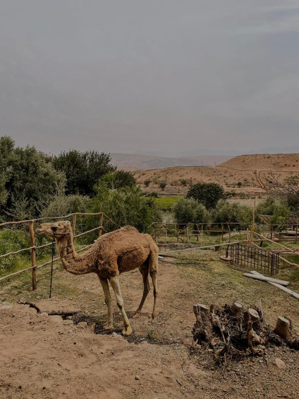 Les Terrasses Du Lac Marrakech Lalla Takerkoust Kültér fotó